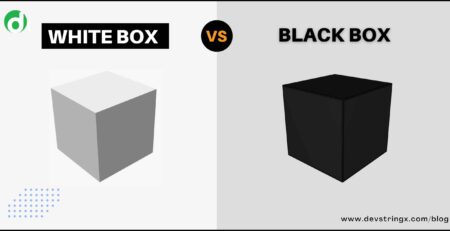 Feature image for Black box Vs White box testing