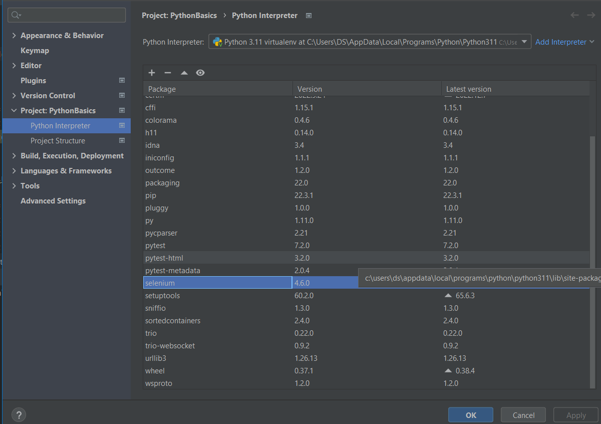 Image of Python Interpreter