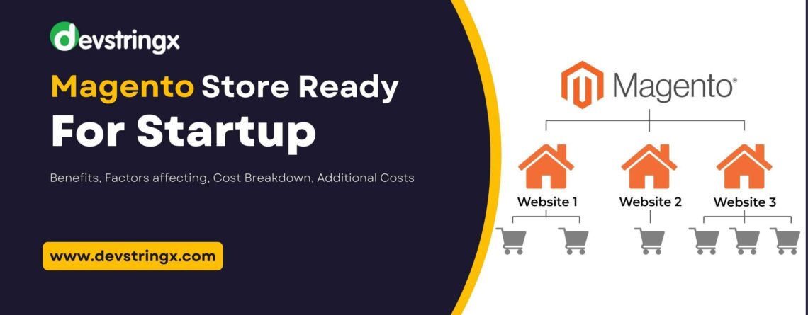 Feature image for Cost to get your Magento store ready for a startup blog