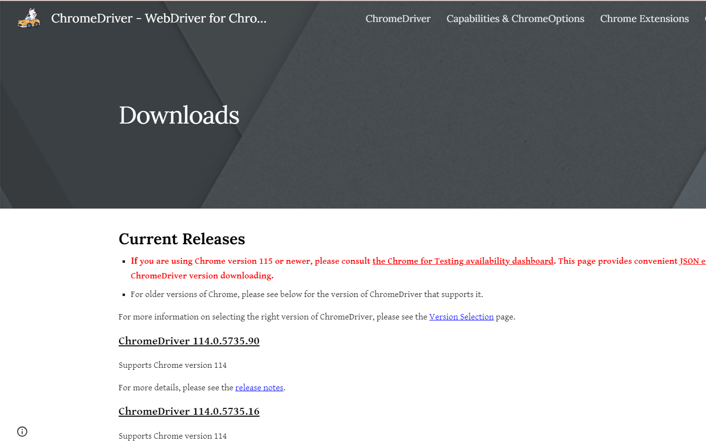 ChromeDriver latest release image