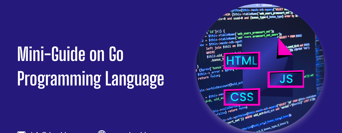 Image of Go Programming Language